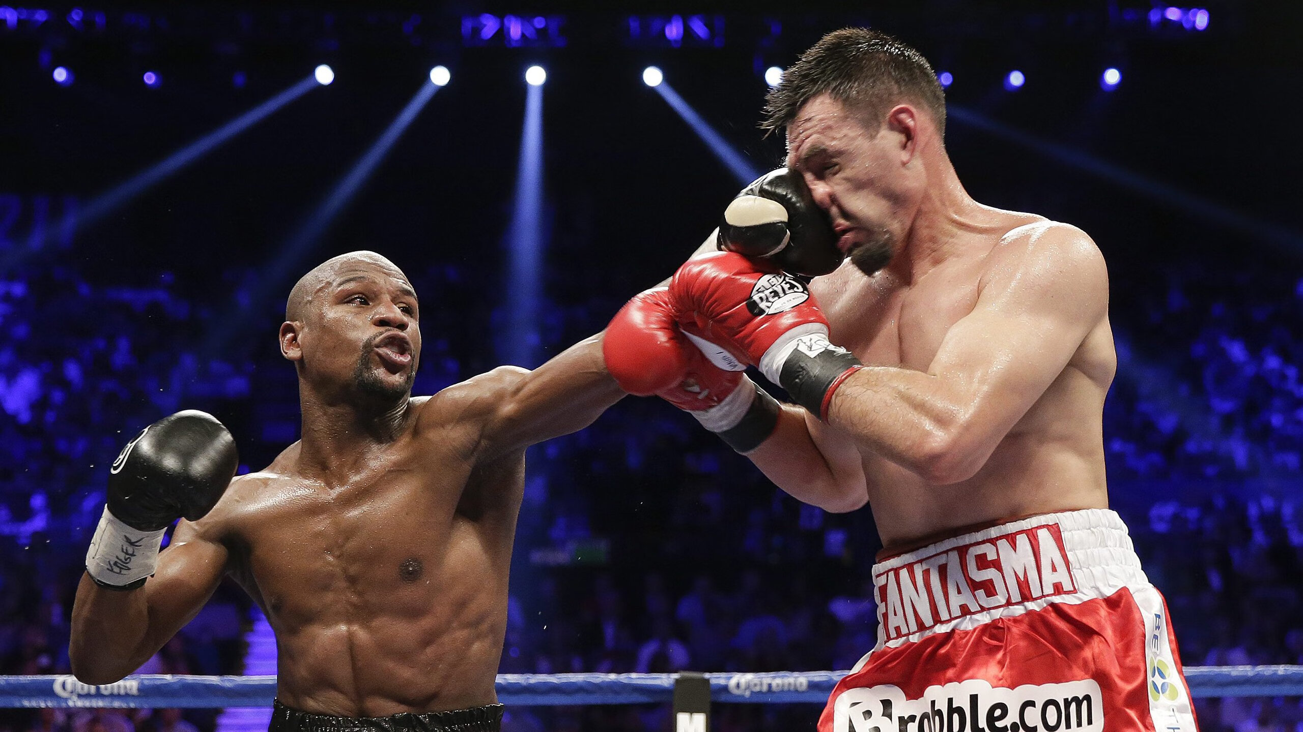 RNG粉丝活动火热进行，rng粉丝活动火热进行了吗